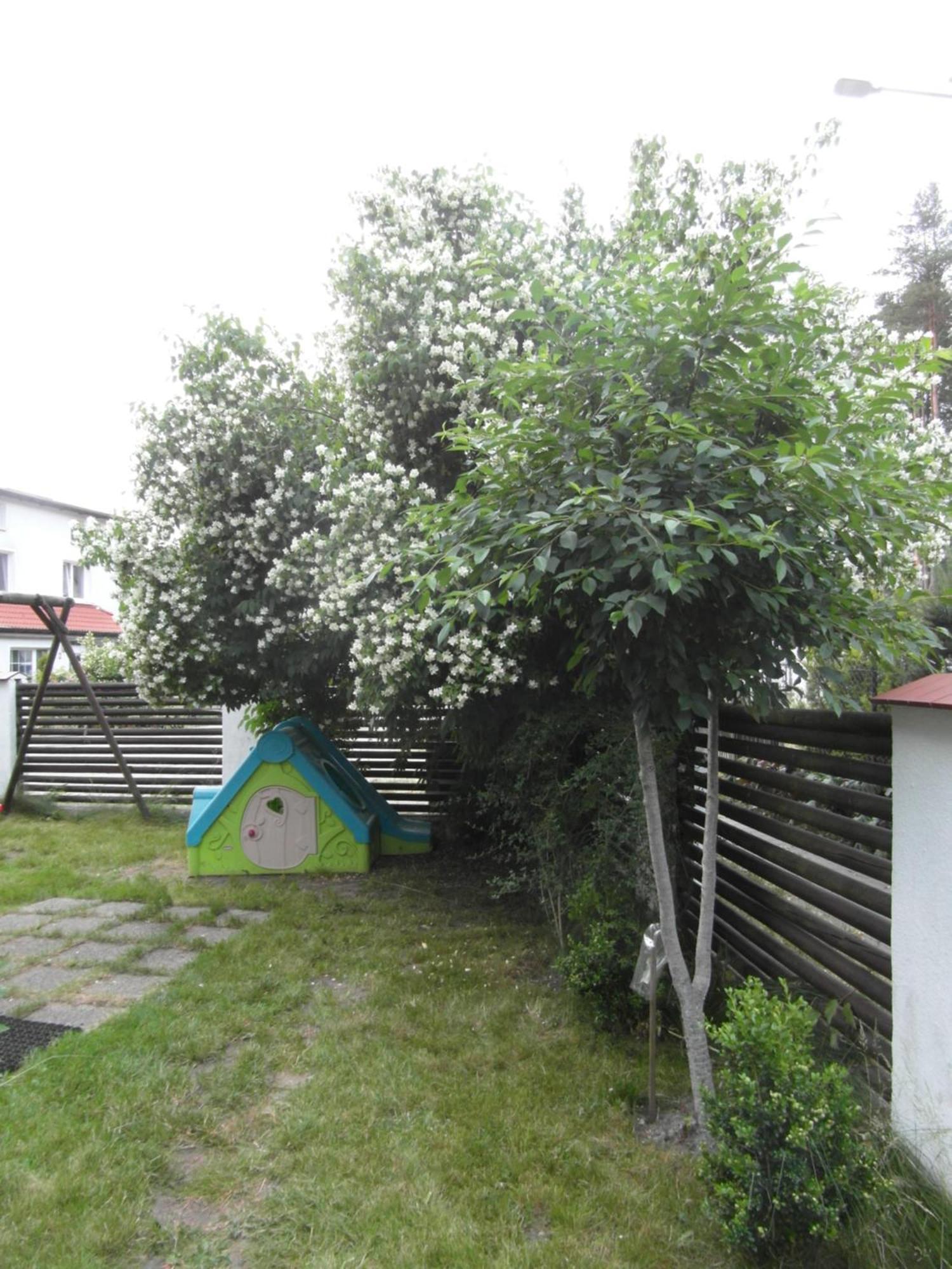 Villa Banita Ustka Ngoại thất bức ảnh