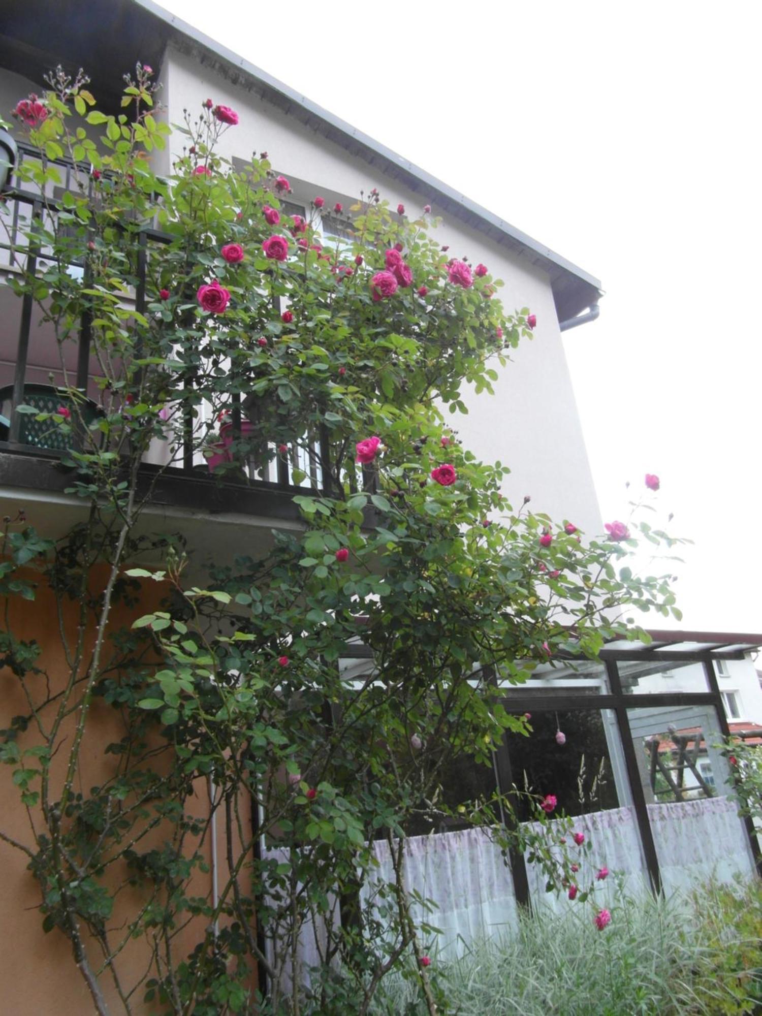 Villa Banita Ustka Ngoại thất bức ảnh